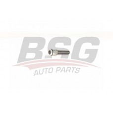 BSG 70-700-053 BSG Підвіска важіль незалежної підвіски колеса