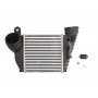 DAA009TT THERMOTEC Интеркулер