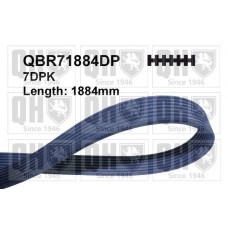 QBR71884DP QUINTON HAZELL Поліклиновий ремінь