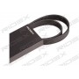 305P0087 RIDEX Поліклиновий ремінь