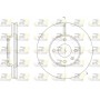 61456.10 ROADHOUSE Гальмівний диск