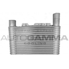 107304 AUTOGAMMA Интеркулер