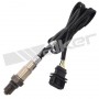 250-24428 WALKER PRODUCTS датчик кисню