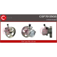 CSP70135GS CASCO Гідравлічний насос кермове управління