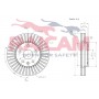 RD00623 RAICAM Гальмівний диск