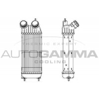 Интеркулер AUTOGAMMA 105222