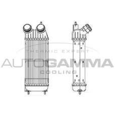 Интеркулер AUTOGAMMA 105222