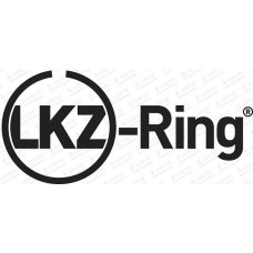 WG1938139 WILMINK GROUP Комплект поршневих кілець