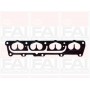 IM1364 FAI AutoParts Комплект прокладок впускний колектор