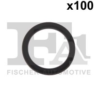 076.593.100 FA1 Ущільнювальне кільце, компрессор