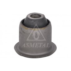38DC1002 ASMETAL Підвіска важіль незалежної підвіски колеса