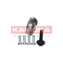 5500153 KAMOKA Ступиця колеса