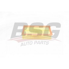 BSG 75-135-007 BSG Повітряний фільтр