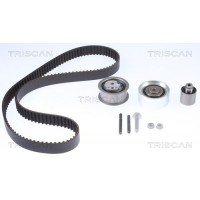 8647 29084 TRISCAN Комплект ременя ГРМ