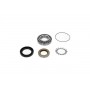 WBK-4522 KAVO PARTS Комплект підшипника ступиці колеса