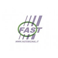 FT48803 FAST Прокладка впуск в турбіну компресор)