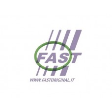 FT48803 FAST Прокладка впуск в турбіну компресор)