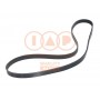 140-12032 IAP QUALITY PARTS Поліклиновий ремінь