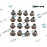 DRM0769S Dr.Motor Automotive Комплект прокладок, стержень клапана