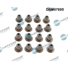 DRM0769S Dr.Motor Automotive Комплект прокладок, стержень клапана