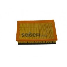 CA9861 FRAM Повітряний фільтр