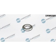 DRM0569 Dr.Motor Automotive Ущільнювальне кільце, Клапанна форсунка