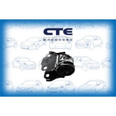 CBH03067L CTE Підвіска важіль незалежної підвіски колеса
