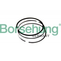 B10365 Borsehung Комплект поршневих кілець