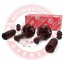 16K005493 MASTER-SPORT GERMANY Амортизатор