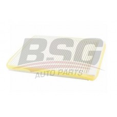 BSG 70-145-005 BSG Фільтр повітря у внутрішньому просторі