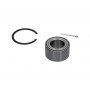 WBK-3002 KAVO PARTS Комплект підшипника ступиці колеса