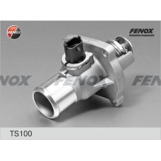 TS100 FENOX Термостат охолоджувальна рідина