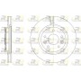 61581.10 ROADHOUSE Гальмівний диск