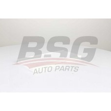 BSG 60-145-017 BSG Фільтр повітря у внутрішньому просторі