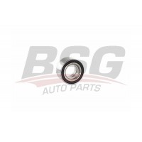 BSG15605005 BSG Підшипник ступиці колеса