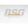 BSG 60-109-036 BSG Планка успокоювача ланцюг приводу