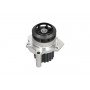 MW-1461 KAVO PARTS Водяний насос охолодження двигуна