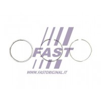 FT47386/0 FAST Комплект поршневих кілець