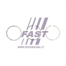 FT47386/0 FAST Комплект поршневих кілець