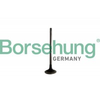 випускний клапан Borsehung B10329