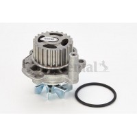 WP6041 CONTINENTAL CTAM Водяний насос охолодження двигуна