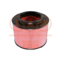 121-17069 IAP QUALITY PARTS Повітряний фільтр