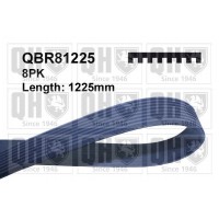 QBR81225 QUINTON HAZELL Поліклиновий ремінь