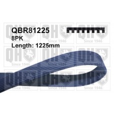 QBR81225 QUINTON HAZELL Поліклиновий ремінь