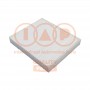 821-20100 IAP QUALITY PARTS Фільтр повітря у внутрішньому просторі