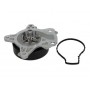 D12096TT THERMOTEC Водяний насос охолодження двигуна