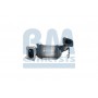BM92318H BM CATALYSTS Катализатор