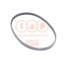 140-07000 IAP QUALITY PARTS Поліклиновий ремінь