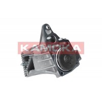T0238 KAMOKA Водяний насос охолодження двигуна