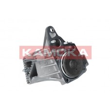 T0238 KAMOKA Водяний насос охолодження двигуна